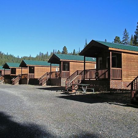 Yosemite Lakes Cabin 37 Harden Flat エクステリア 写真