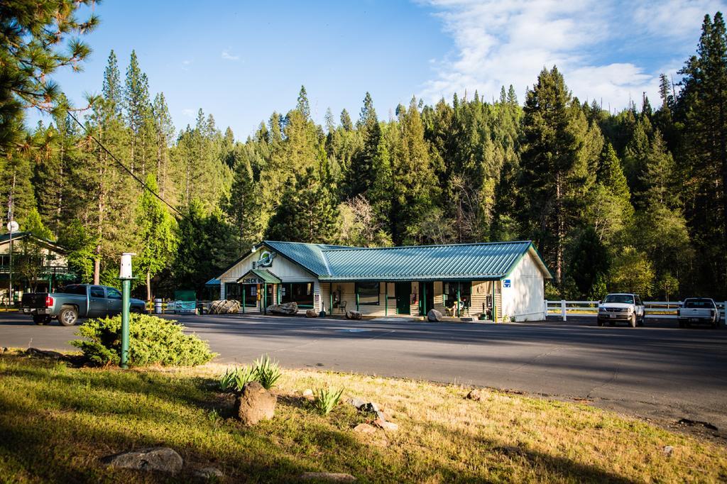 Yosemite Lakes Cabin 37 Harden Flat エクステリア 写真